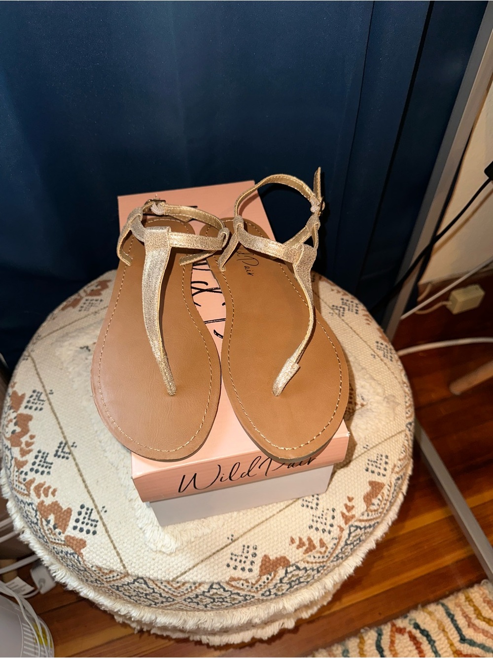 Wild Pair Gold T-Strap Flat Sandals